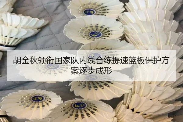 胡金秋领衔国家队内线合练提速篮板保护方案逐步成形